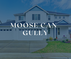 Moose Can Gully