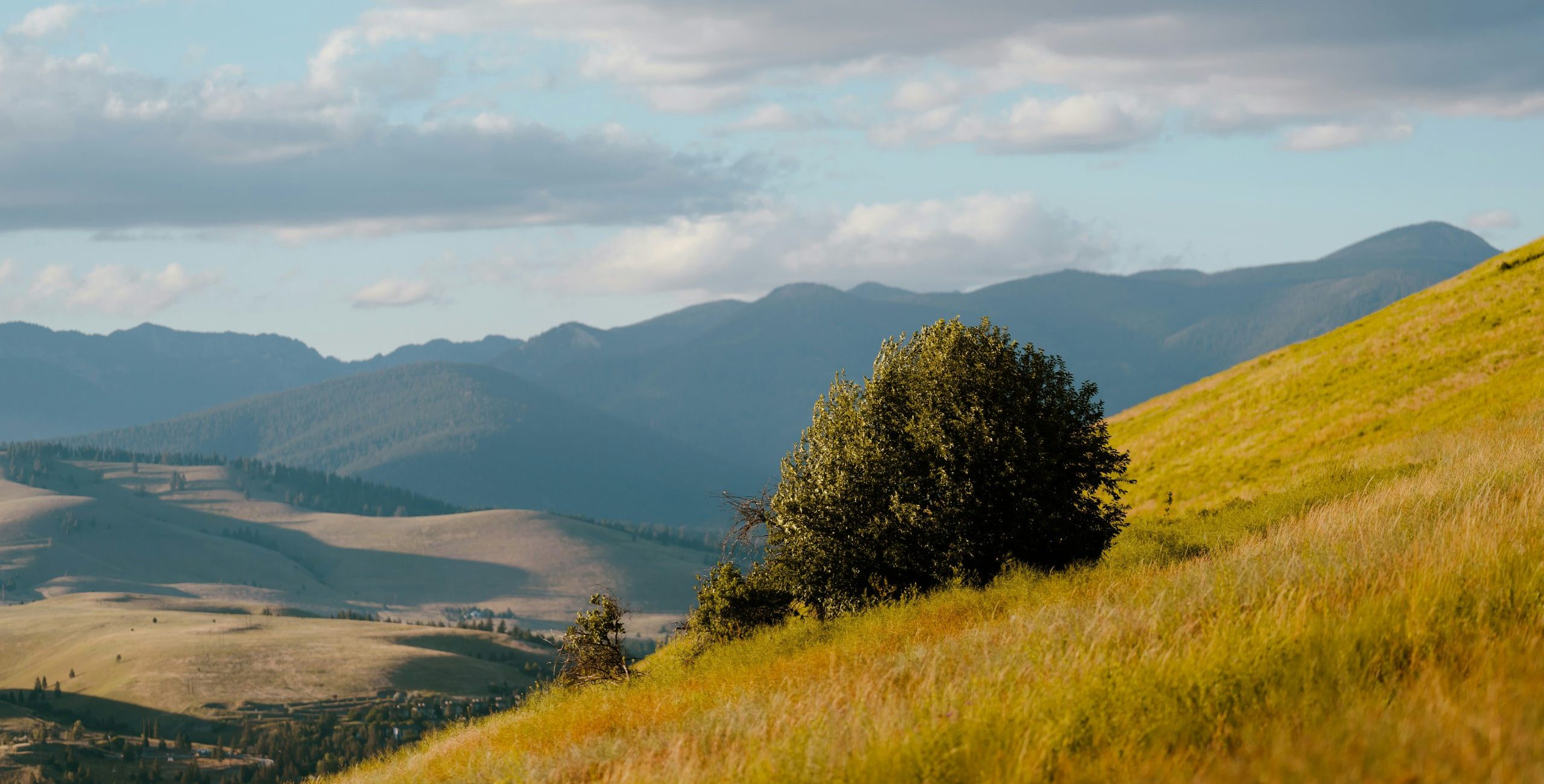 Summer mountain landscape view in Missoula Montana.