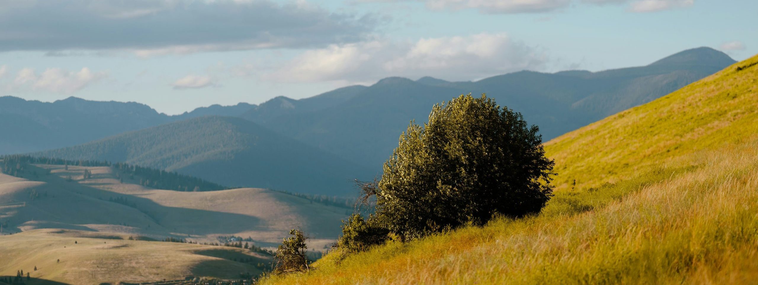Summer mountain landscape view in Missoula Montana.