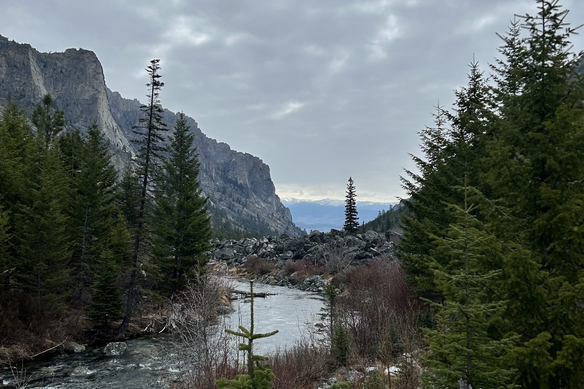 Views of the Bitterroot Valley looking over Blodgett Creek. 