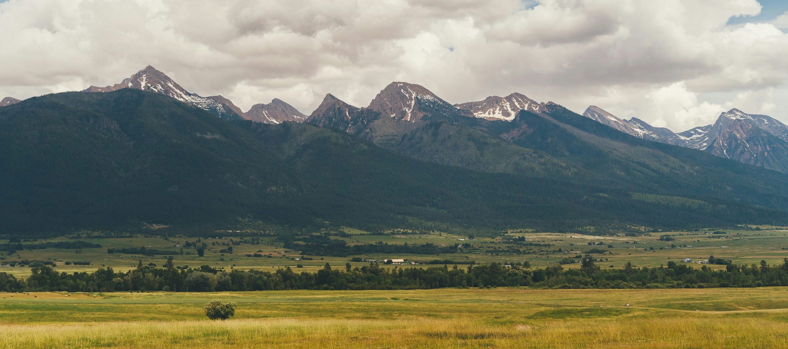 The Bitteroot mountains.