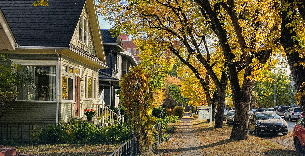 Fall street with changing leaves and a for sale sine for Windermere reality agency,.