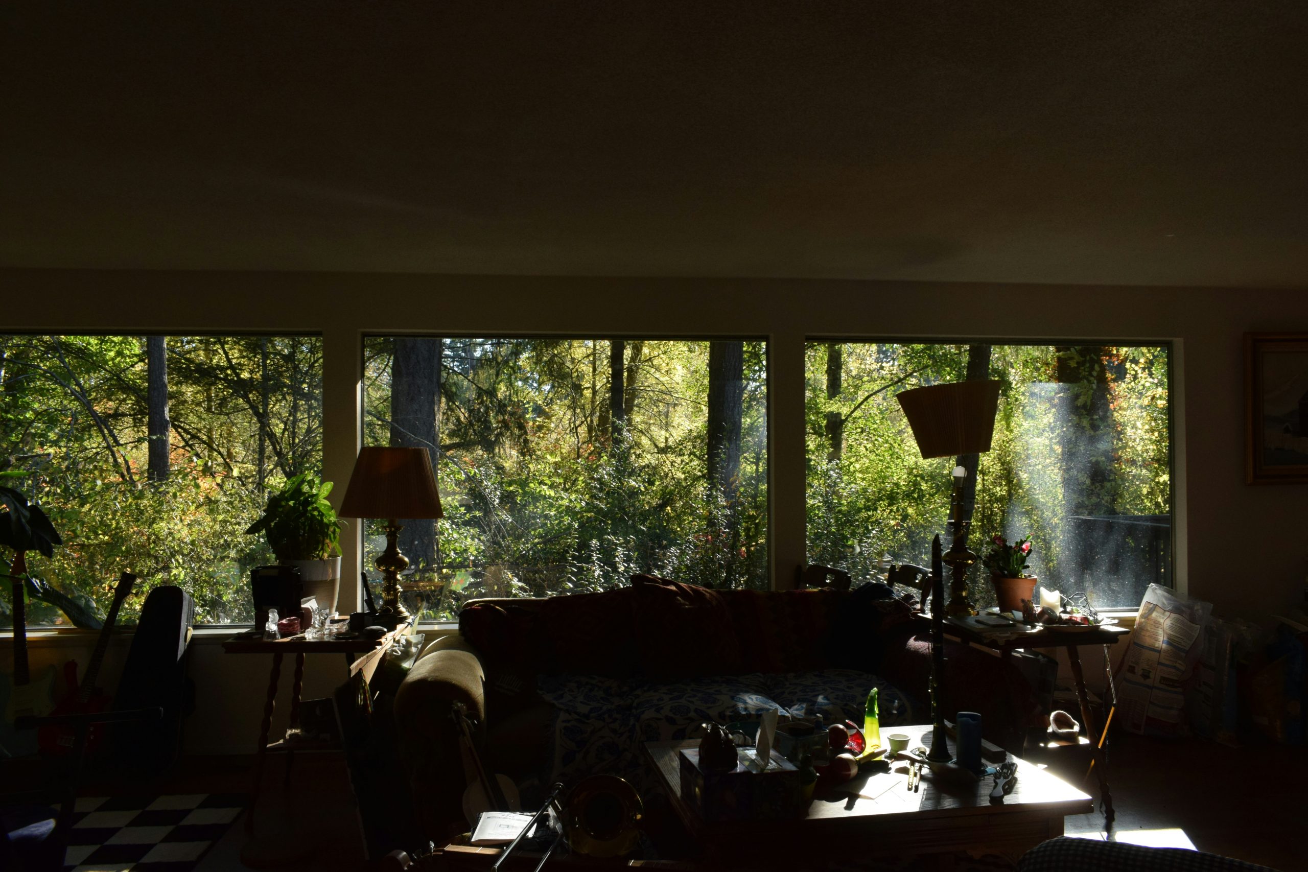Living room interior with large windows spanning the space and a hidden forest view on the outside of the windows