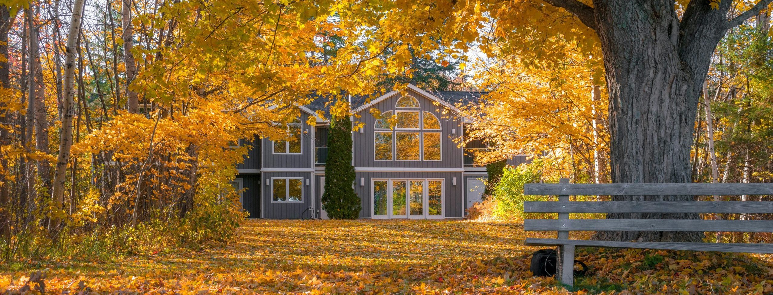 Beautiful fall scene with yellow leaves around a nice tucked away home and good sunlight.
