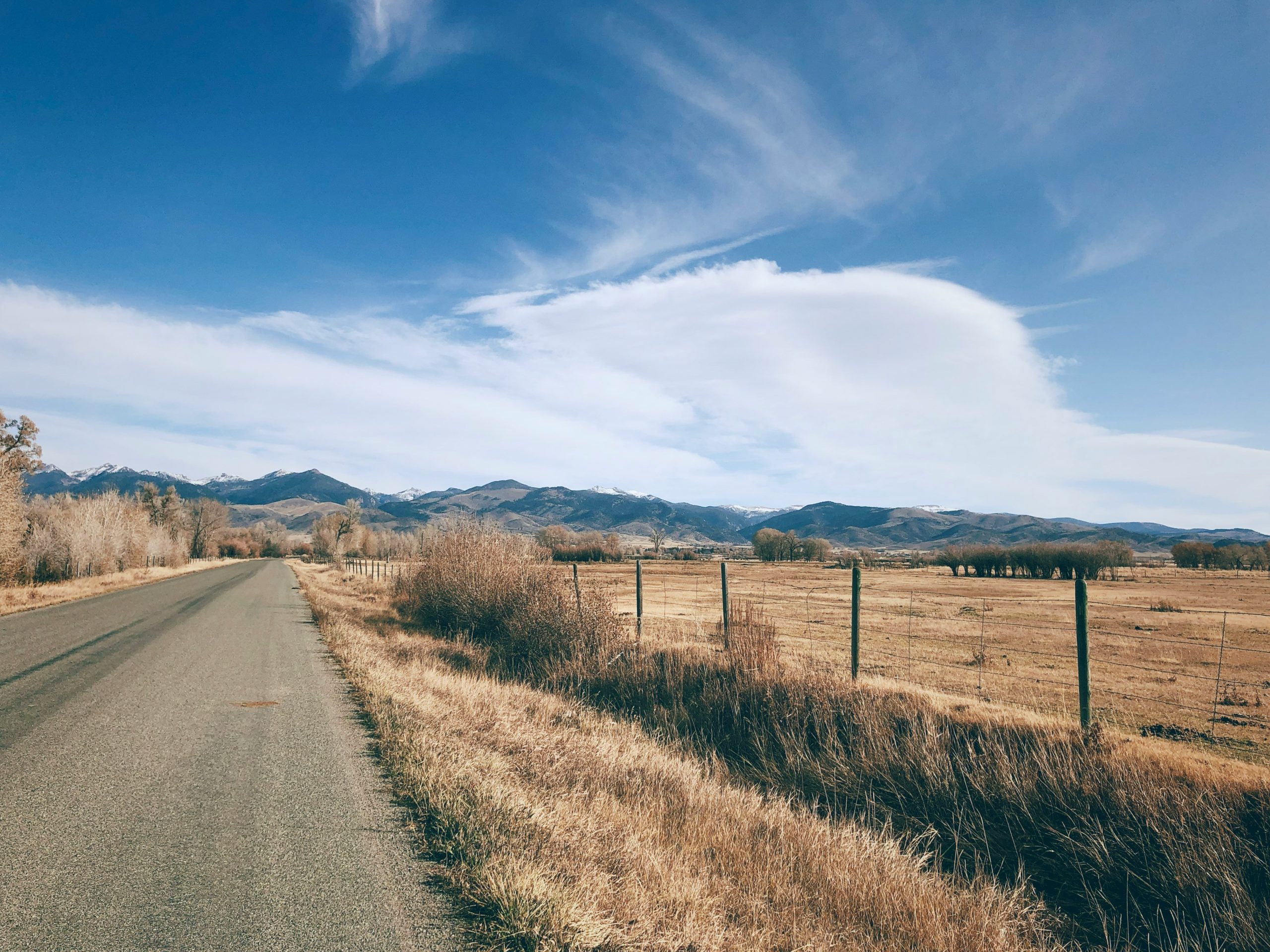 A paved back-country road in Montana with mountains in the distance, brown grass along the road on a blue, sunny day. 