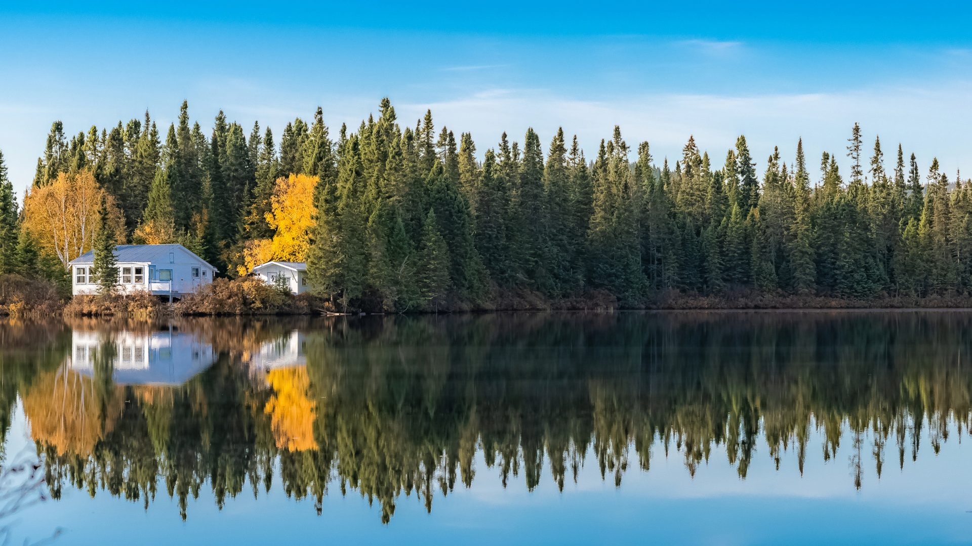 House surrounded by trees on the water front